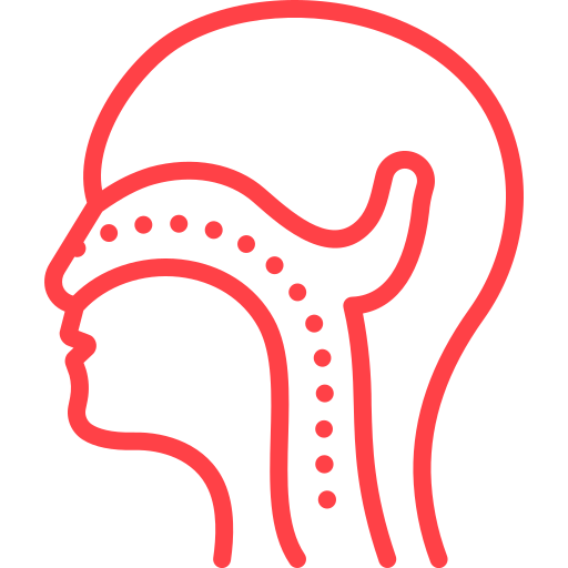 ENT (Ear, Nose & Throat)